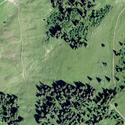 Satellite imagery of Col de la Forcla, CH