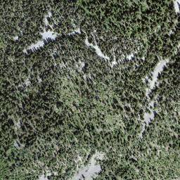 Satellite imagery of Gyrshubel, CH