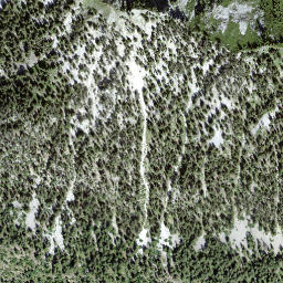 Satellite imagery of Gyrshubel, CH
