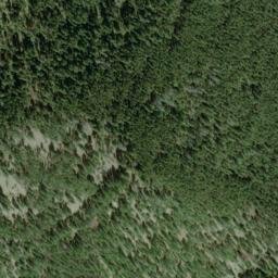 Satellite imagery of Forest Rose Mine, US