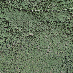 Satellite imagery of Mont Chaubert, CH