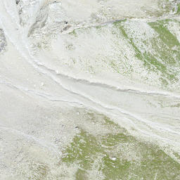 Satellite imagery of Piz Forbesch, CH
