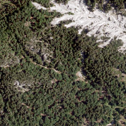 Satellite imagery of Türkenkopf, AT