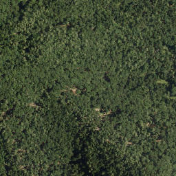 Satellite imagery of Gornja, AT