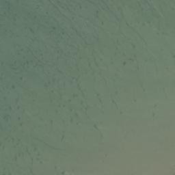 Satellite imagery of Lynn Point, US