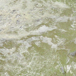 Satellite imagery of Piz Forbesch, CH