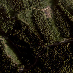 Satellite imagery of Schwarzer Gupf, AT