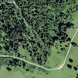 Satellite imagery of Les Rodomonts, CH