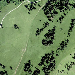 Satellite imagery of Les Rodomonts, CH