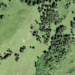 Satellite imagery of Les Rodomonts, CH