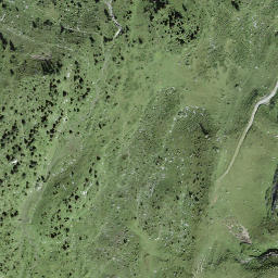 Satellite imagery of Widerhubel, CH