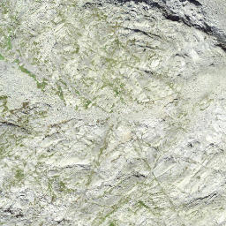Satellite imagery of Mittler Schwarzhorn, CH