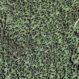Satellite imagery of Mont Sâla, CH