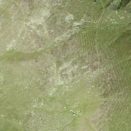 Satellite imagery of Löuwenestock, CH