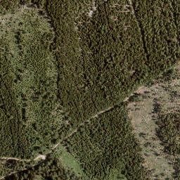 Satellite imagery of Schwarzer Gupf, AT