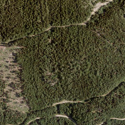 Satellite imagery of Schwarzer Gupf, AT