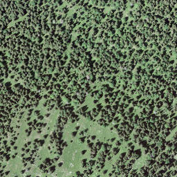Satellite imagery of Crêt des Danses, CH