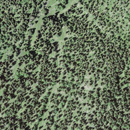 Satellite imagery of Crêt des Danses, CH