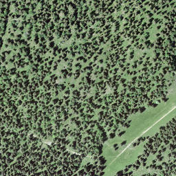 Satellite imagery of Mont Sâla, CH