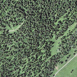 Satellite imagery of Crêt de Grison, CH