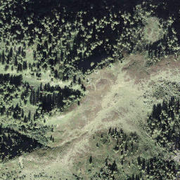 Satellite imagery of Il Forno, CH