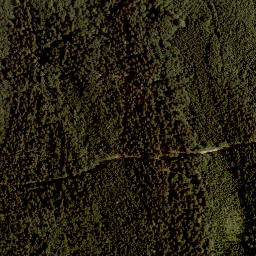 Satellite imagery of Halbing, AT