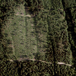 Satellite imagery of Jauernikgupf, AT