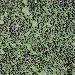 Satellite imagery of Mont Pelé, CH