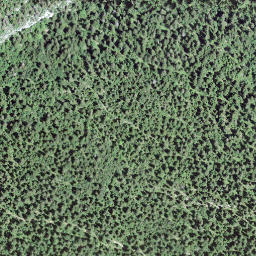 Satellite imagery of Mont Sâla, CH