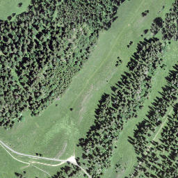 Satellite imagery of Crêt de Grison, CH