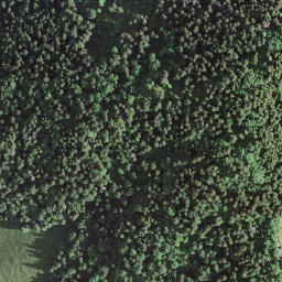 Satellite imagery of Haut des Preises, CH