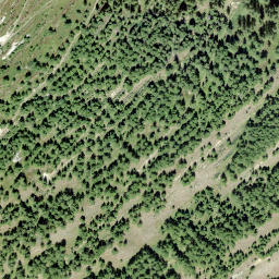 Satellite imagery of Birchegg, CH
