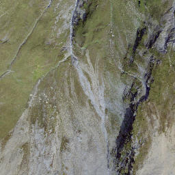 Satellite imagery of Grimsla, CH