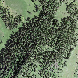 Satellite imagery of Crêt des Danses, CH