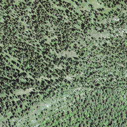 Satellite imagery of Mont Pelé, CH