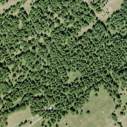 Satellite imagery of Birchegg, CH
