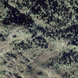Satellite imagery of Pizzo Meda, CH