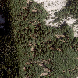 Satellite imagery of Sechter, AT