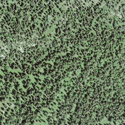 Satellite imagery of Mont Pelé, CH