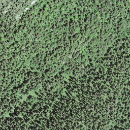 Satellite imagery of Mont Pelé, CH