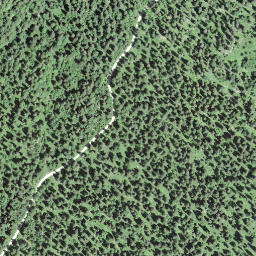 Satellite imagery of Mont Pelé, CH