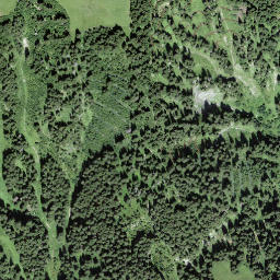 Satellite imagery of Schwandfeldpitz, CH