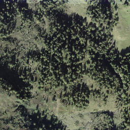 Satellite imagery of Pizzetto, CH