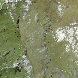 Satellite imagery of Grimsla, CH