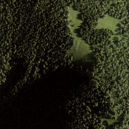 Satellite imagery of Peca, SI