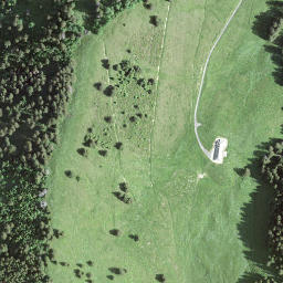Satellite imagery of Le Molard, CH