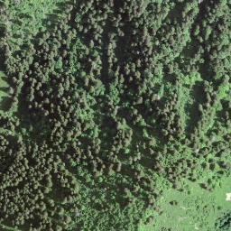 Satellite imagery of Le Molard, CH