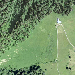 Satellite imagery of Le Molard, CH
