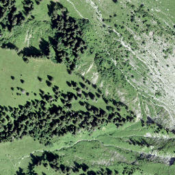 Satellite imagery of Folliu Borna, CH