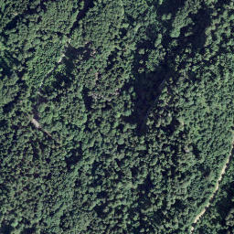 Satellite imagery of Sonlomont, CH